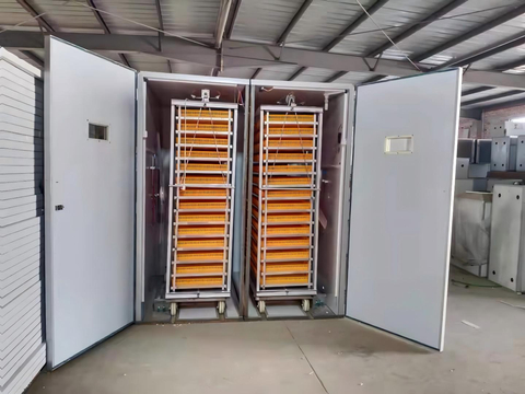 BeYou 98% Taux d'éclosion 9856 Incubateur et couveuse d'œufs de poule pour l'Afrique du Sud