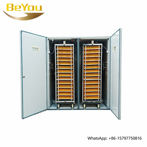 BeYou 9856 Incubateur de poulet et machine à couver pour le Zimbabwe