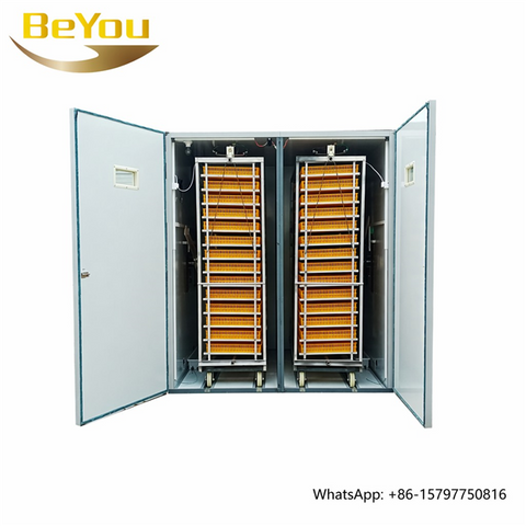 BeYou 9856 Incubateur de poulet et machine à couver pour le Zimbabwe