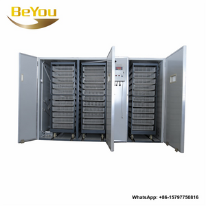 Volaille entièrement automatique utilisée en usine, 14784 œufs, incubateur solaire, équipement pour volaille
